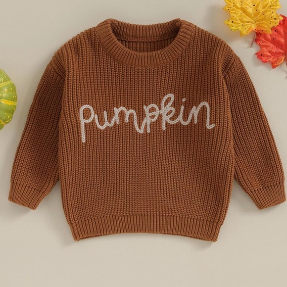 Emma Company Other - Warm Infant Toddler Fall Sweater Embroidered